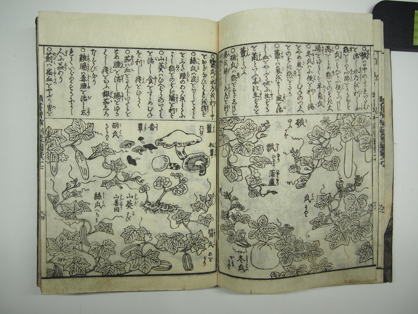 Woodblock Print Book x10 (Vol. 1-21): Kinmo Zui Illustrated Encyclopedia 1789