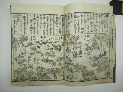 Woodblock Print Book x10 (Vol. 1-21): Kinmo Zui Illustrated Encyclopedia 1789