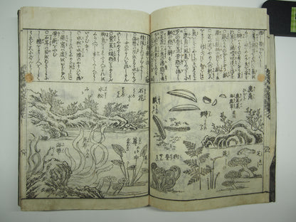 Woodblock Print Book x10 (Vol. 1-21): Kinmo Zui Illustrated Encyclopedia 1789