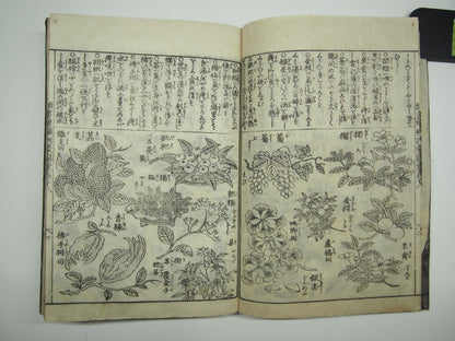 Woodblock Print Book x10 (Vol. 1-21): Kinmo Zui Illustrated Encyclopedia 1789