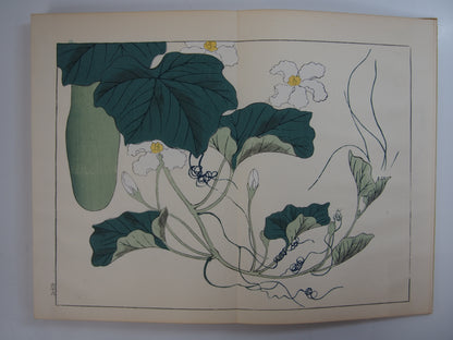 四季の花 全10巻 昭和42年 芸艸堂 Shiki no Hana (Flowers of the Four Seasons) (10 Volumes) 1967 Unsodo