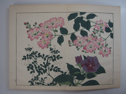 四季の花 全10巻 昭和42年 芸艸堂 Shiki no Hana (Flowers of the Four Seasons) (10 Volumes) 1967 Unsodo