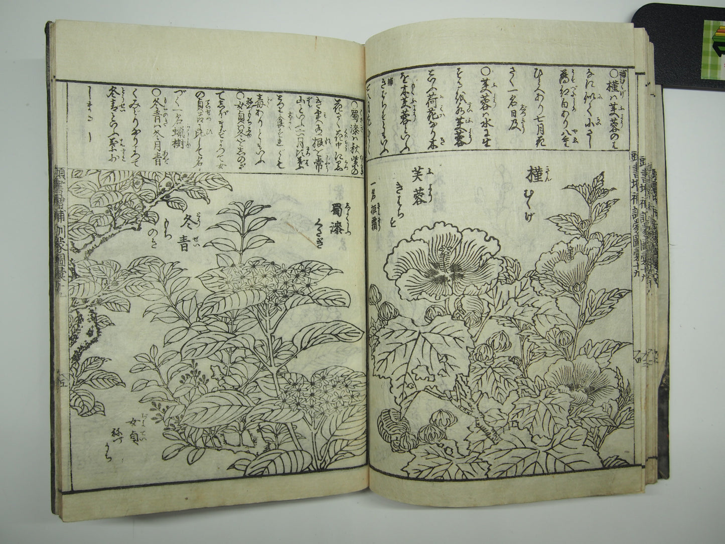 Woodblock Print Book x10 (Vol. 1-21): Kinmo Zui Illustrated Encyclopedia 1789