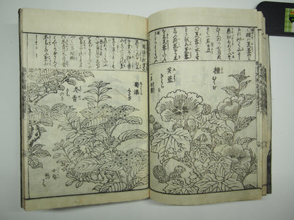 Woodblock Print Book x10 (Vol. 1-21): Kinmo Zui Illustrated Encyclopedia 1789