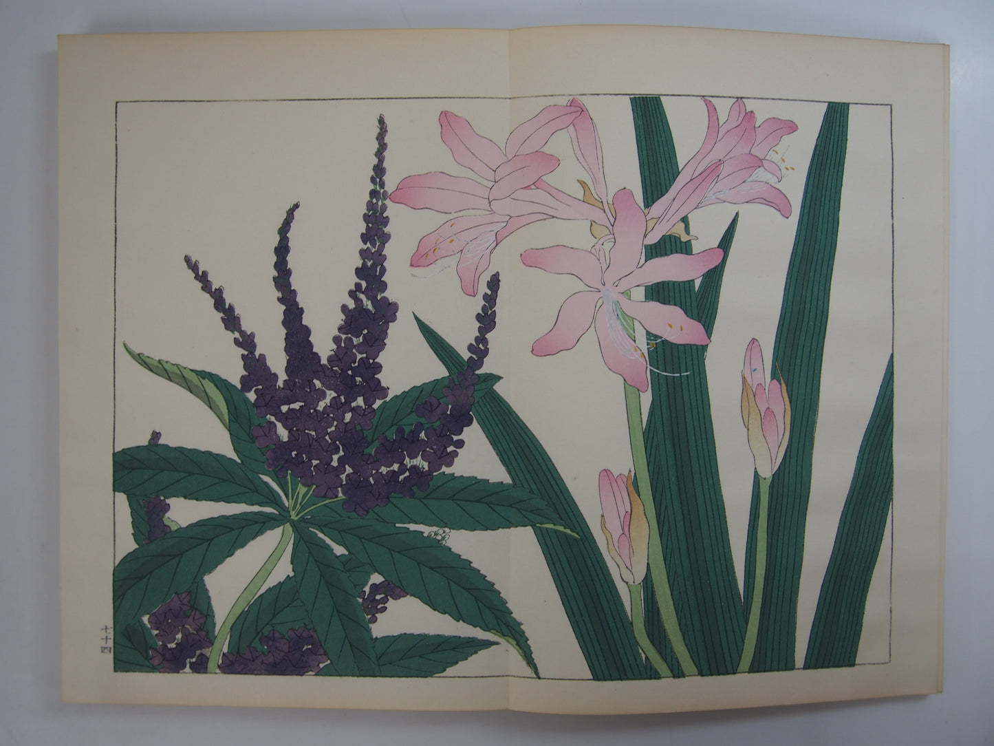 四季の花 全10巻 昭和42年 芸艸堂 Shiki no Hana (Flowers of the Four Seasons) (10 Volumes) 1967 Unsodo