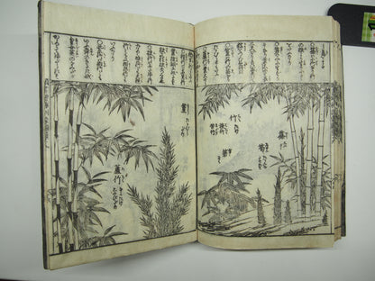 Woodblock Print Book x10 (Vol. 1-21): Kinmo Zui Illustrated Encyclopedia 1789