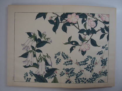 四季の花 全10巻 昭和42年 芸艸堂 Shiki no Hana (Flowers of the Four Seasons) (10 Volumes) 1967 Unsodo