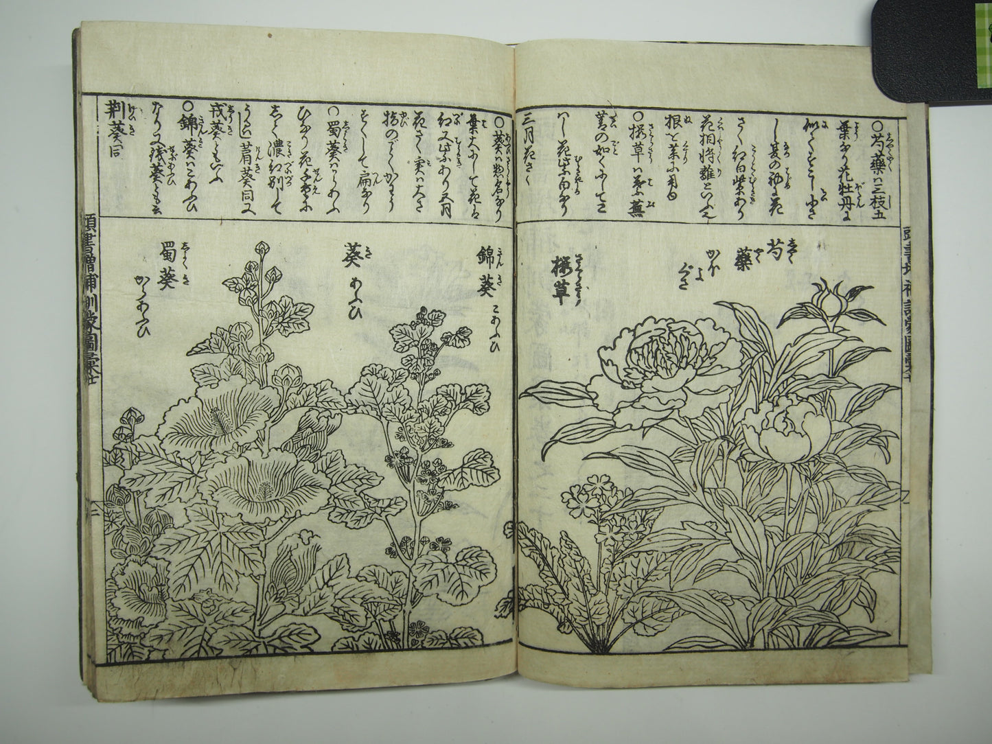 Woodblock Print Book x10 (Vol. 1-21): Kinmo Zui Illustrated Encyclopedia 1789