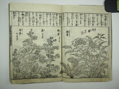 Woodblock Print Book x10 (Vol. 1-21): Kinmo Zui Illustrated Encyclopedia 1789