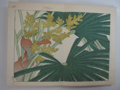 四季の花 全10巻 昭和42年 芸艸堂 Shiki no Hana (Flowers of the Four Seasons) (10 Volumes) 1967 Unsodo