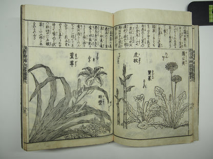 Woodblock Print Book x10 (Vol. 1-21): Kinmo Zui Illustrated Encyclopedia 1789
