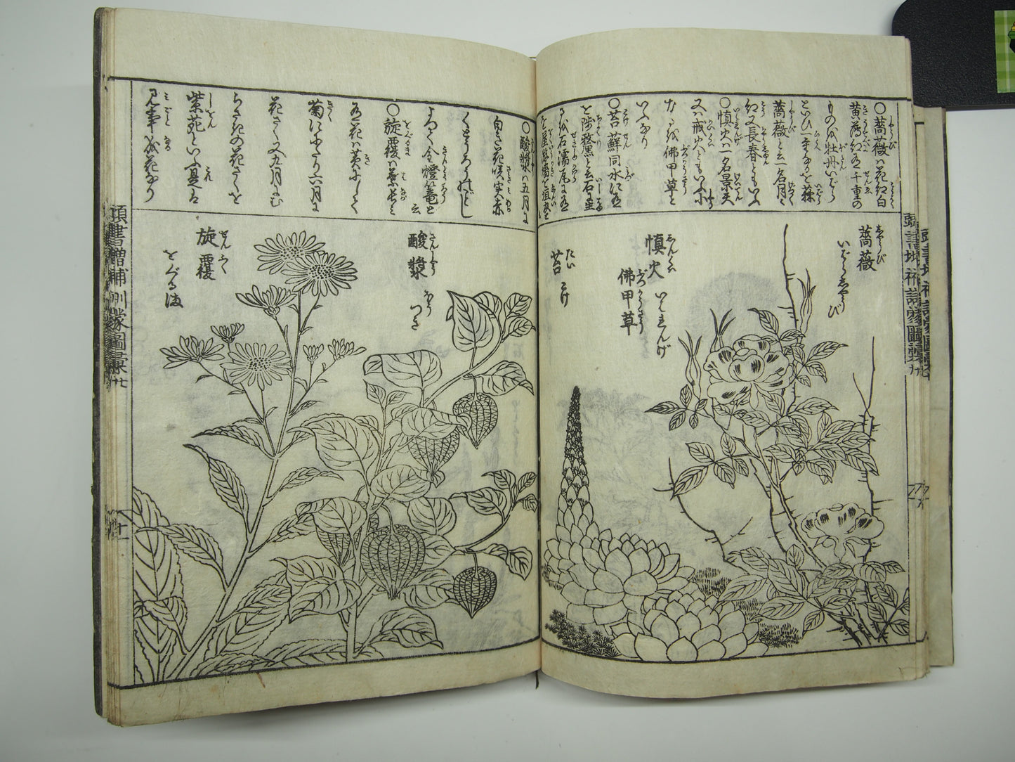 Woodblock Print Book x10 (Vol. 1-21): Kinmo Zui Illustrated Encyclopedia 1789