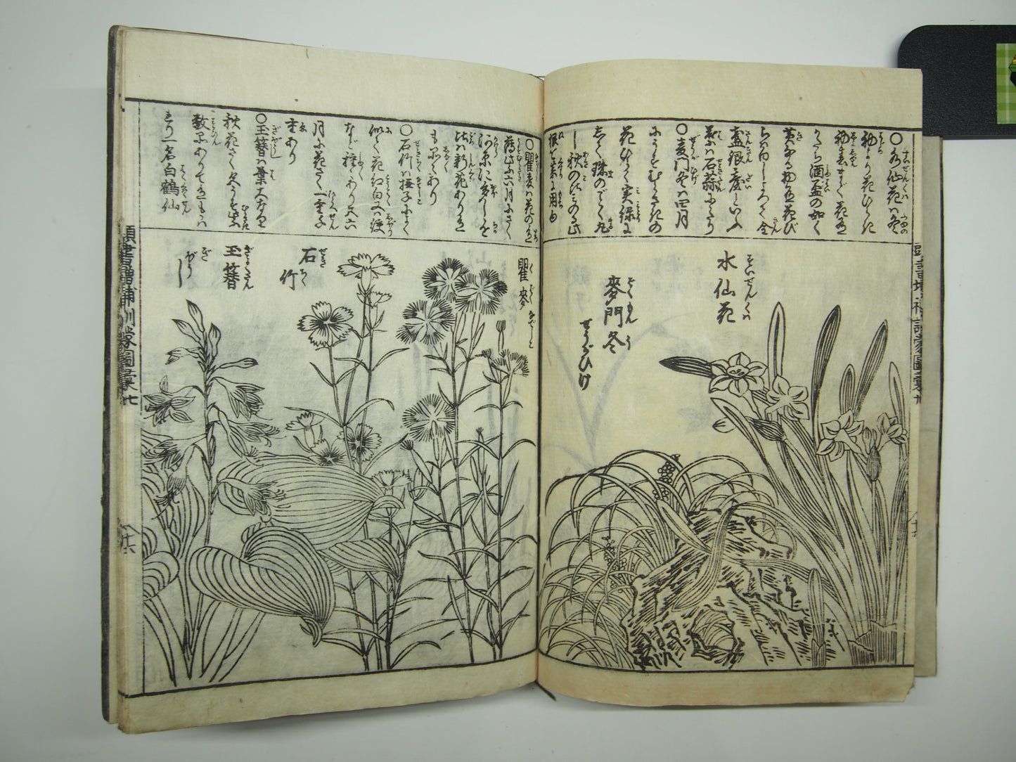 Woodblock Print Book x10 (Vol. 1-21): Kinmo Zui Illustrated Encyclopedia 1789