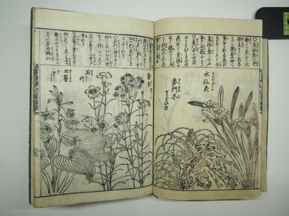 Woodblock Print Book x10 (Vol. 1-21): Kinmo Zui Illustrated Encyclopedia 1789