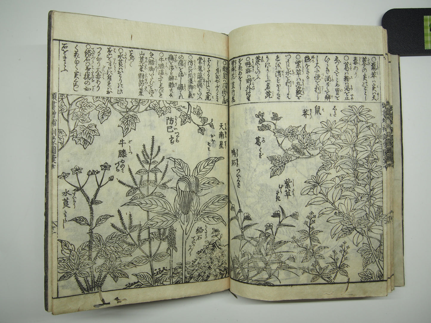 Woodblock Print Book x10 (Vol. 1-21): Kinmo Zui Illustrated Encyclopedia 1789