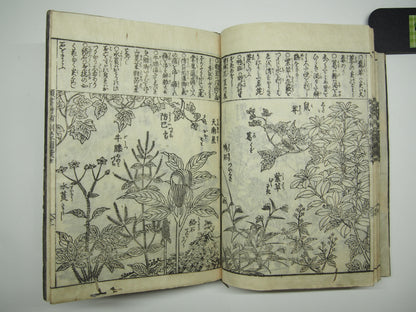 Woodblock Print Book x10 (Vol. 1-21): Kinmo Zui Illustrated Encyclopedia 1789