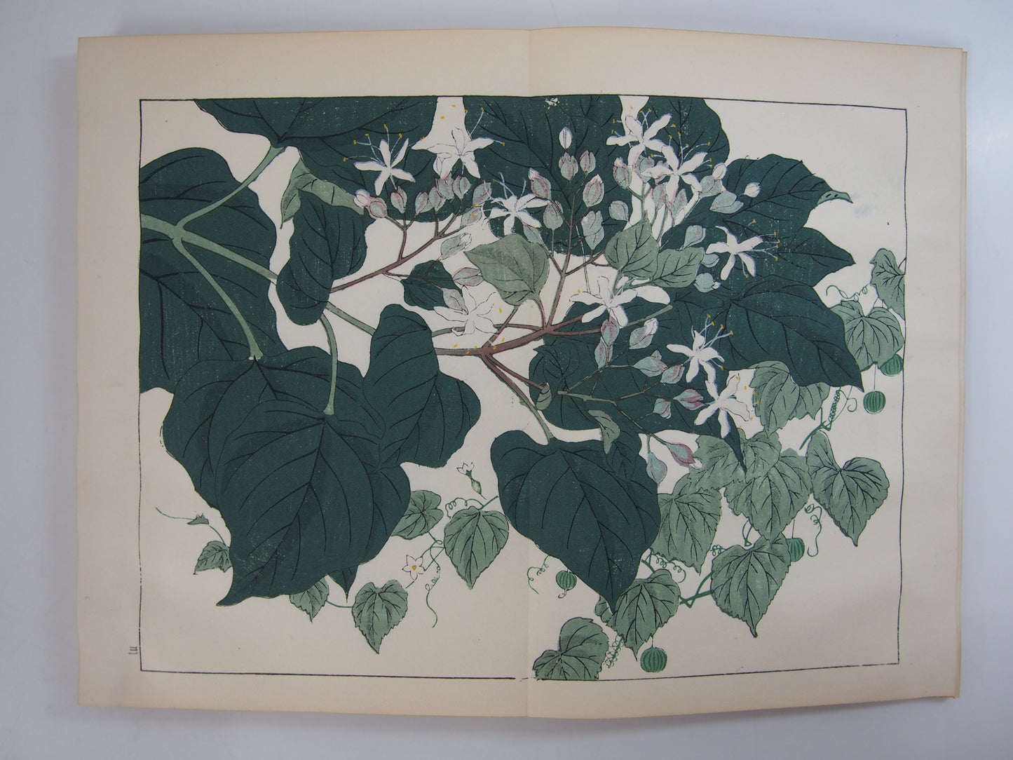 四季の花 全10巻 昭和42年 芸艸堂 Shiki no Hana (Flowers of the Four Seasons) (10 Volumes) 1967 Unsodo