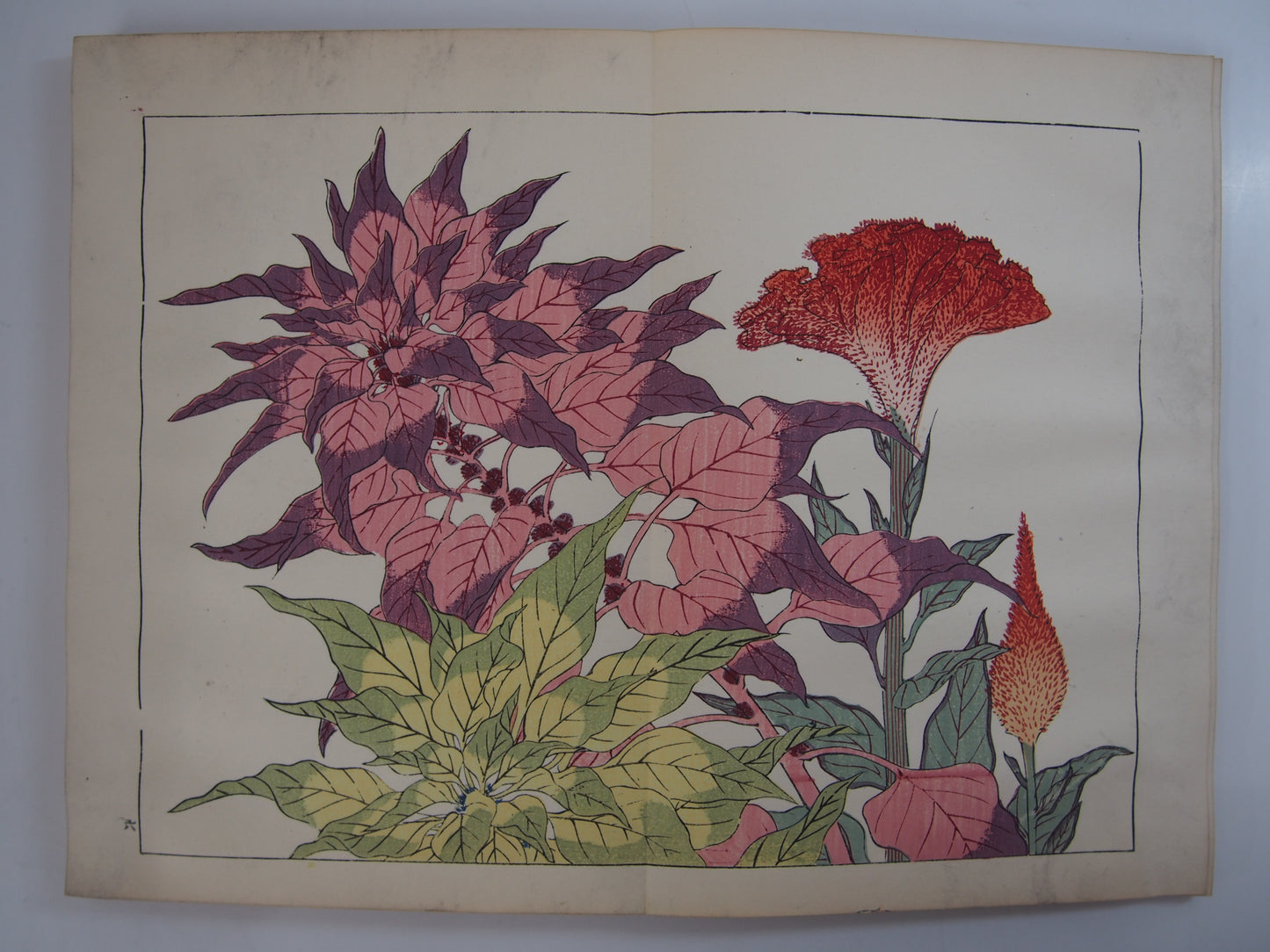 四季の花 全10巻 昭和42年 芸艸堂 Shiki no Hana (Flowers of the Four Seasons) (10 Volumes) 1967 Unsodo