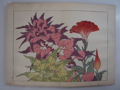 四季の花 全10巻 昭和42年 芸艸堂 Shiki no Hana (Flowers of the Four Seasons) (10 Volumes) 1967 Unsodo
