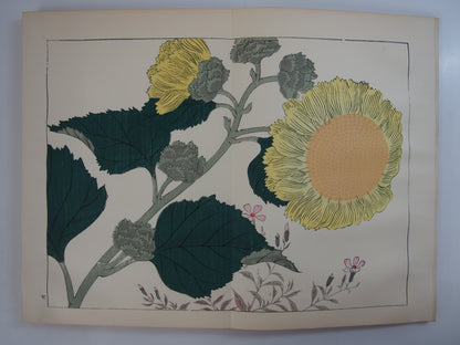 四季の花 全10巻 昭和42年 芸艸堂 Shiki no Hana (Flowers of the Four Seasons) (10 Volumes) 1967 Unsodo