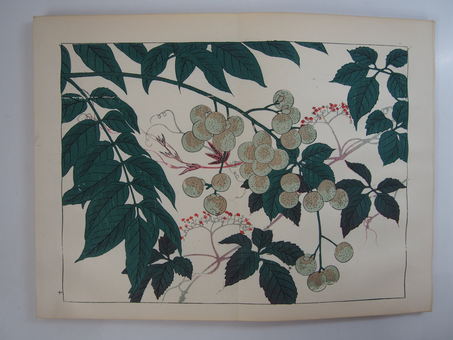 四季の花 全10巻 昭和42年 芸艸堂 Shiki no Hana (Flowers of the Four Seasons) (10 Volumes) 1967 Unsodo