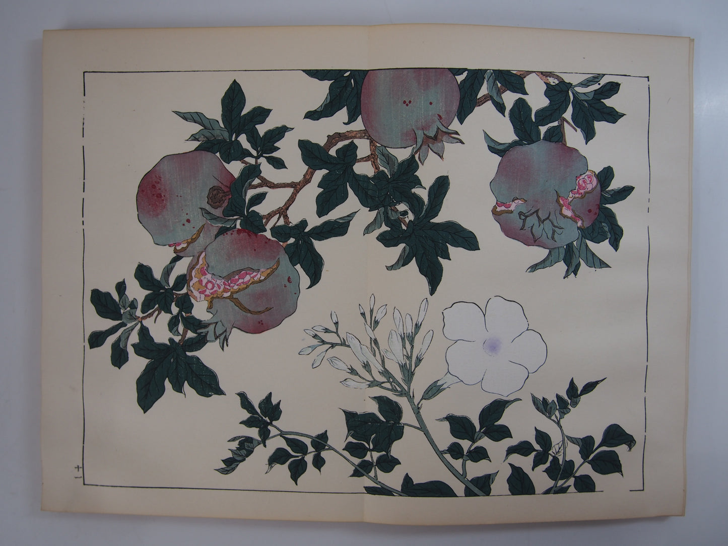 四季の花 全10巻 昭和42年 芸艸堂 Shiki no Hana (Flowers of the Four Seasons) (10 Volumes) 1967 Unsodo