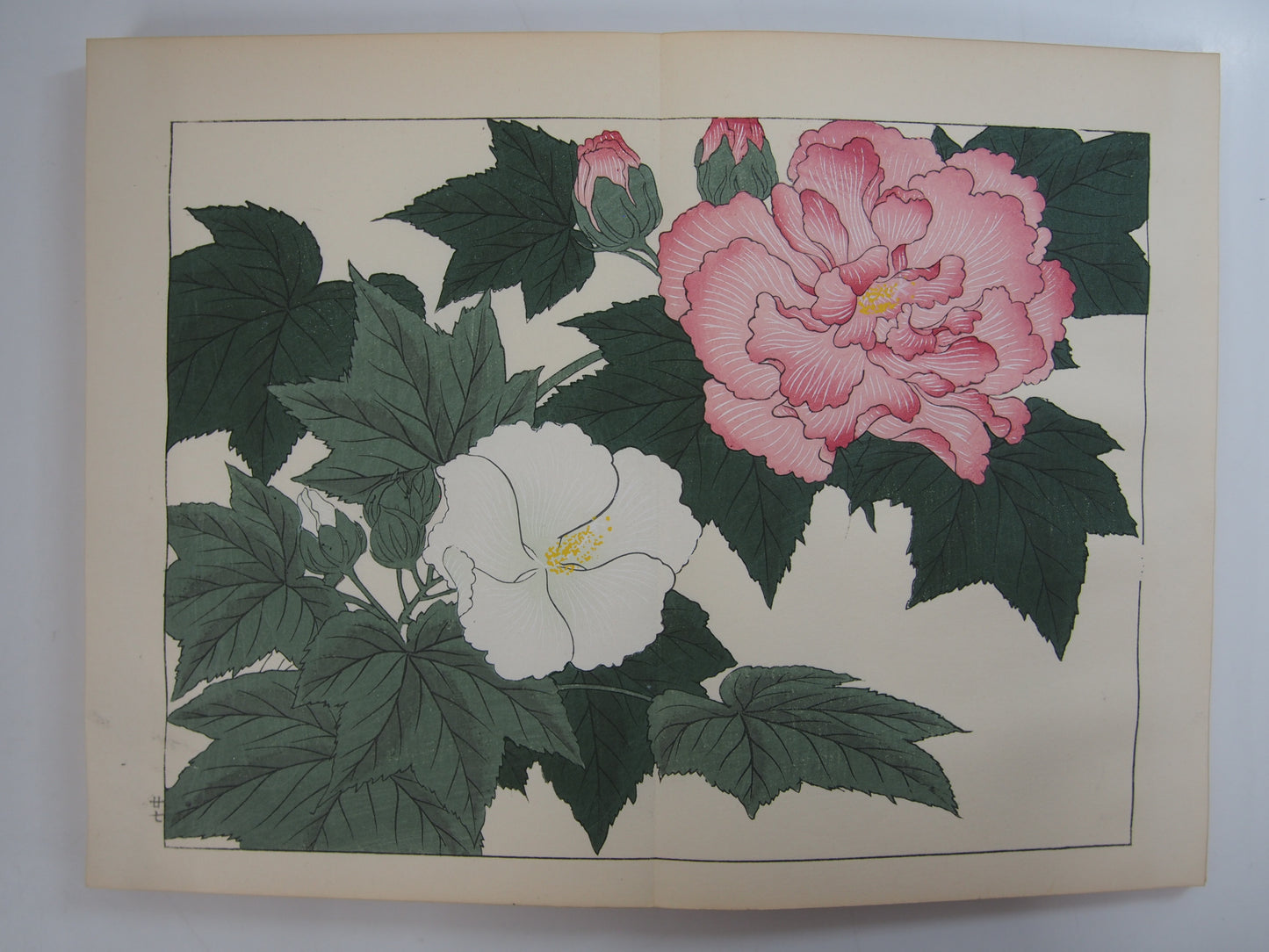 四季の花 全10巻 昭和42年 芸艸堂 Shiki no Hana (Flowers of the Four Seasons) (10 Volumes) 1967 Unsodo