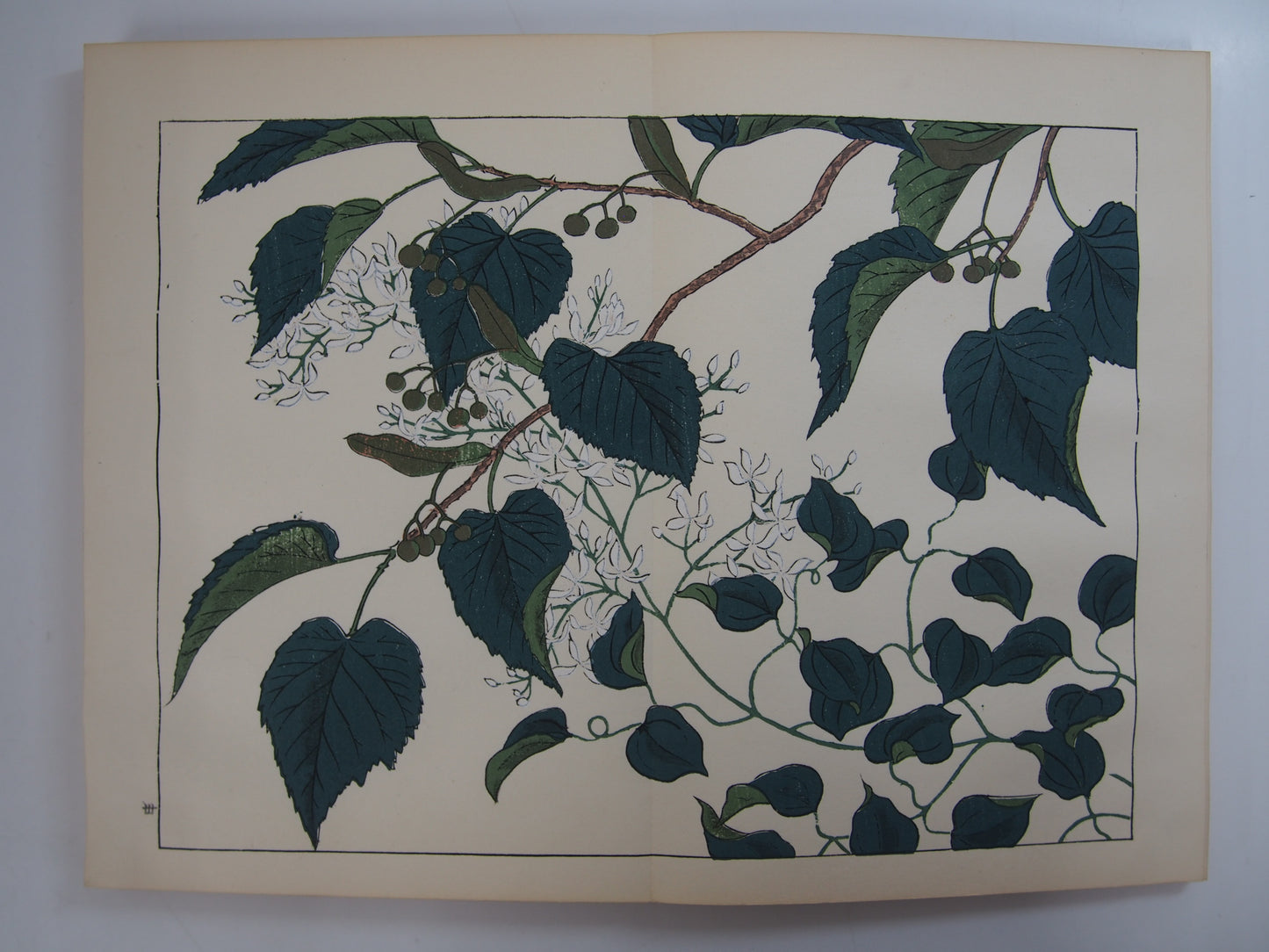 四季の花 全10巻 昭和42年 芸艸堂 Shiki no Hana (Flowers of the Four Seasons) (10 Volumes) 1967 Unsodo