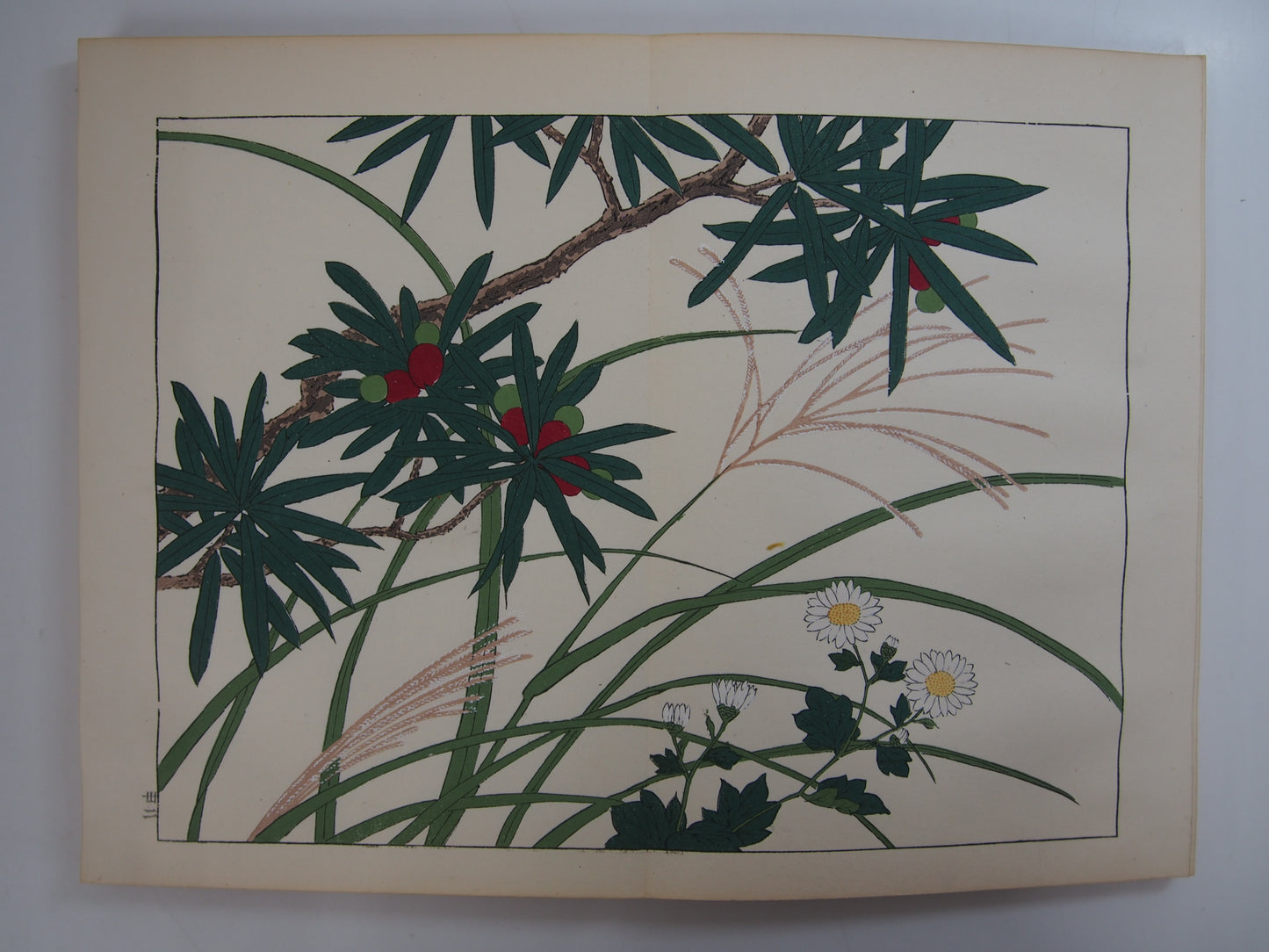 四季の花 全10巻 昭和42年 芸艸堂 Shiki no Hana (Flowers of the Four Seasons) (10 Volumes) 1967 Unsodo