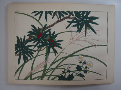 四季の花 全10巻 昭和42年 芸艸堂 Shiki no Hana (Flowers of the Four Seasons) (10 Volumes) 1967 Unsodo