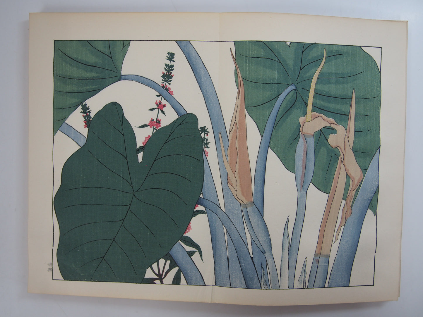 四季の花 全10巻 昭和42年 芸艸堂 Shiki no Hana (Flowers of the Four Seasons) (10 Volumes) 1967 Unsodo