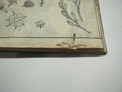 Woodblock Print Book x10 (Vol. 1-21): Kinmo Zui Illustrated Encyclopedia 1789