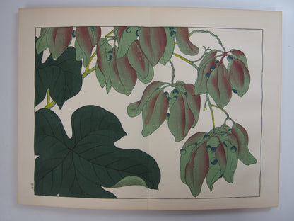 四季の花 全10巻 昭和42年 芸艸堂 Shiki no Hana (Flowers of the Four Seasons) (10 Volumes) 1967 Unsodo