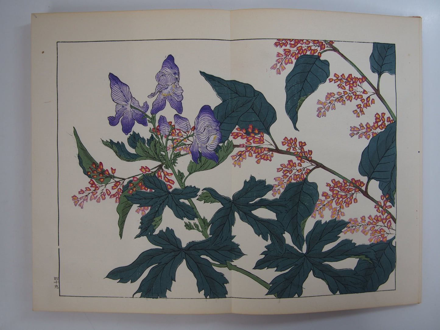 四季の花 全10巻 昭和42年 芸艸堂 Shiki no Hana (Flowers of the Four Seasons) (10 Volumes) 1967 Unsodo