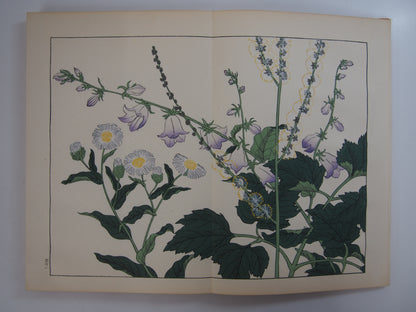 四季の花 全10巻 昭和42年 芸艸堂 Shiki no Hana (Flowers of the Four Seasons) (10 Volumes) 1967 Unsodo