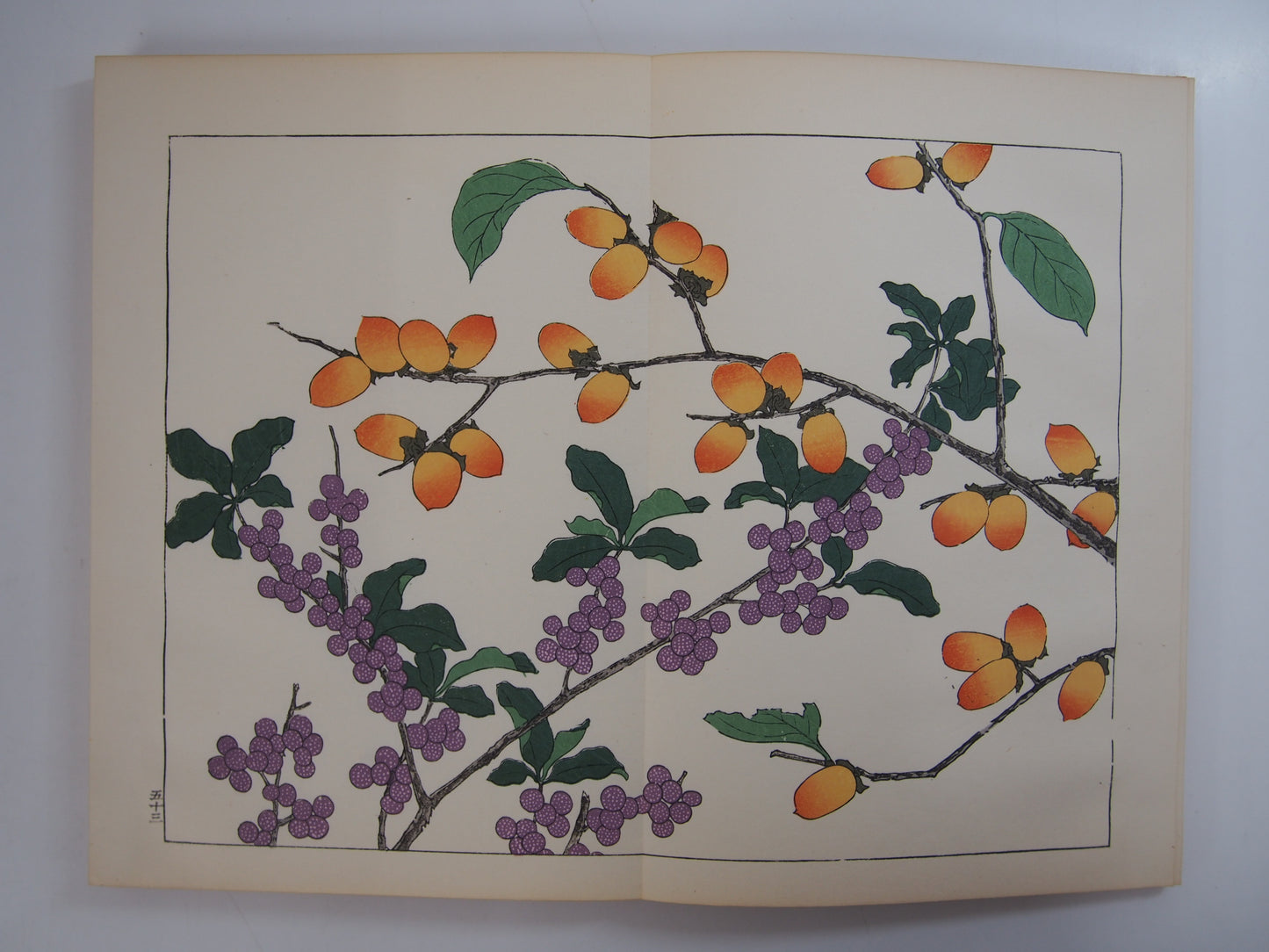 四季の花 全10巻 昭和42年 芸艸堂 Shiki no Hana (Flowers of the Four Seasons) (10 Volumes) 1967 Unsodo