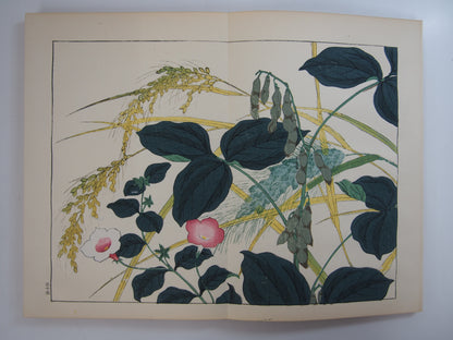 四季の花 全10巻 昭和42年 芸艸堂 Shiki no Hana (Flowers of the Four Seasons) (10 Volumes) 1967 Unsodo