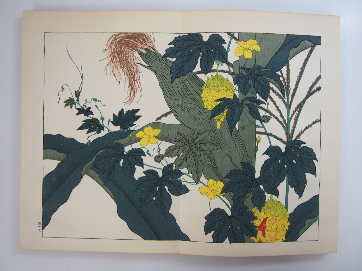 四季の花 全10巻 昭和42年 芸艸堂 Shiki no Hana (Flowers of the Four Seasons) (10 Volumes) 1967 Unsodo