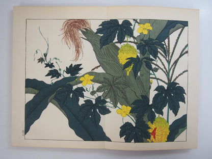 四季の花 全10巻 昭和42年 芸艸堂 Shiki no Hana (Flowers of the Four Seasons) (10 Volumes) 1967 Unsodo