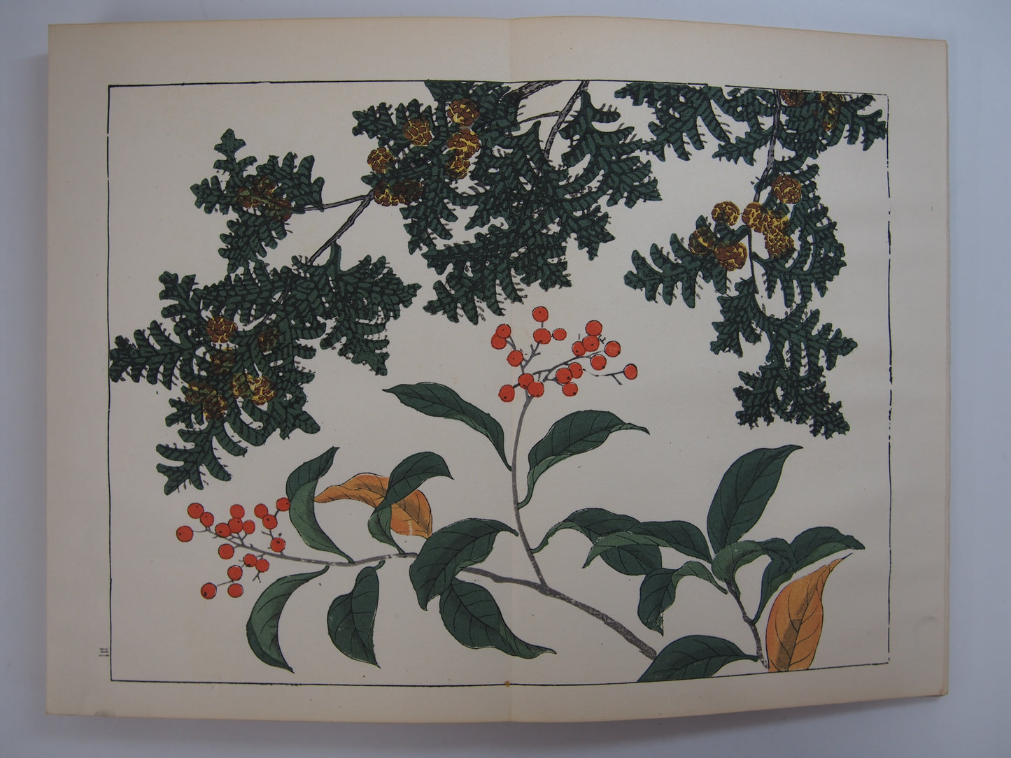 四季の花 全10巻 昭和42年 芸艸堂 Shiki no Hana (Flowers of the Four Seasons) (10 Volumes) 1967 Unsodo
