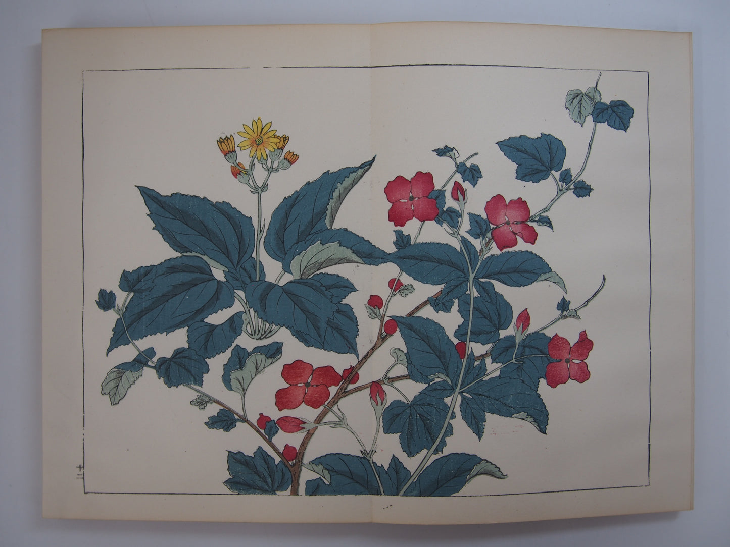 四季の花 全10巻 昭和42年 芸艸堂 Shiki no Hana (Flowers of the Four Seasons) (10 Volumes) 1967 Unsodo